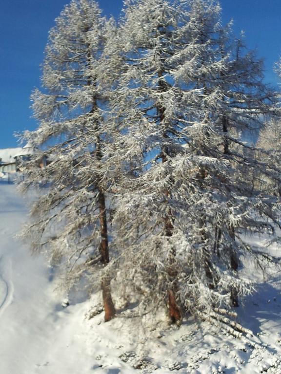 Ferienwohnung Familie Wieser Altenmarkt im Pongau Exterior foto